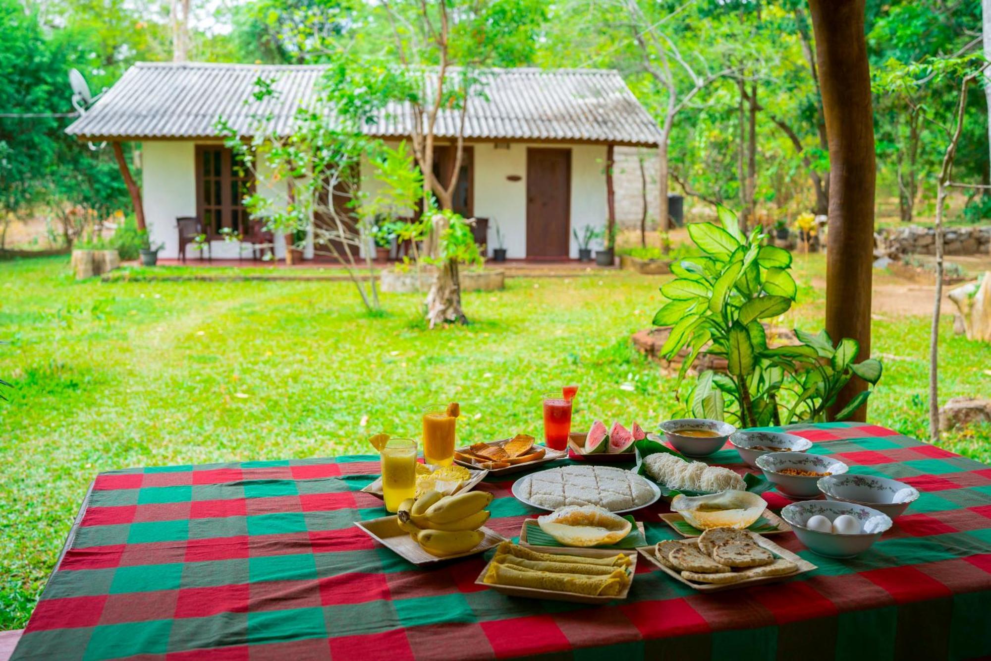 Bed and breakfast Wild Hut Habarana Extérieur photo