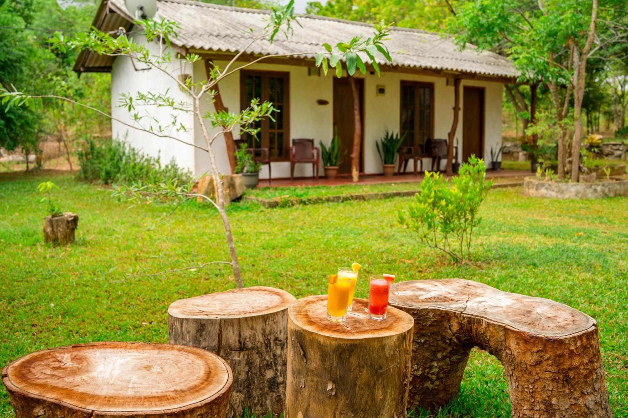 Bed and breakfast Wild Hut Habarana Extérieur photo