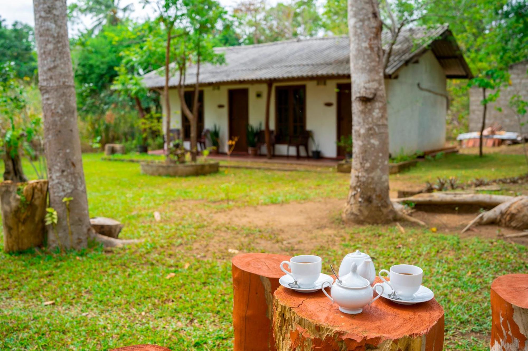 Bed and breakfast Wild Hut Habarana Extérieur photo