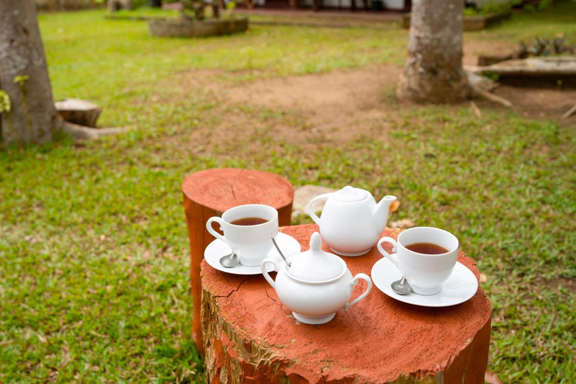 Bed and breakfast Wild Hut Habarana Extérieur photo